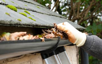 gutter cleaning Thorne