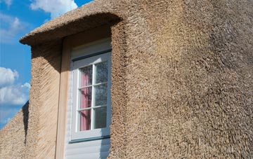 Thorne thatch roof disadvantages