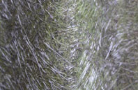 Thorne fibreglass roof work